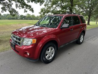 Used 2011 Ford Escape XLT w/ 202A Rapid Spec Order Code image 1