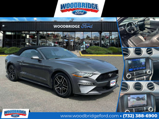 Used 2023 Ford Mustang Premium image 1