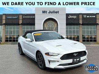 Used 2022 Ford Mustang Premium image 1