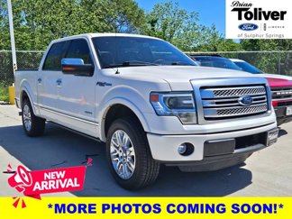 Used 2013 Ford F150 Platinum image 1