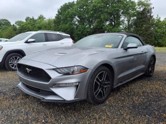 Used 2023 Ford Mustang Premium image 1