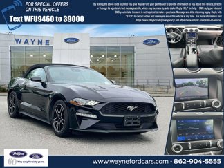 Used 2023 Ford Mustang Premium image 1