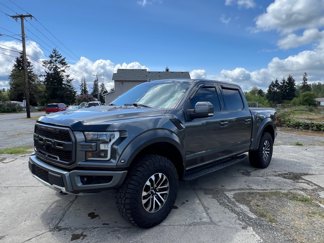 Used 2019 Ford F150 Raptor image 1