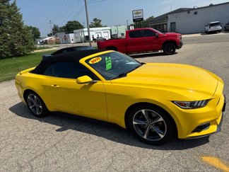 Used 2015 Ford Mustang Convertible w/ Equipment Group 051A image 1