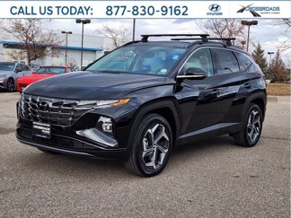 Used 2024 Hyundai Tucson Limited image 1