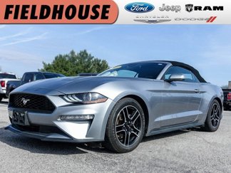 Used 2022 Ford Mustang Premium image 1