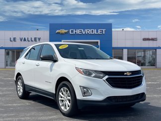 Used 2019 Chevrolet Equinox LS image 1