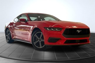 Used 2024 Ford Mustang Coupe image 1