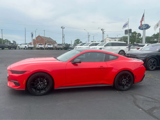 Used 2024 Ford Mustang Coupe image 1