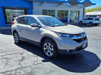 Certified 2019 Honda CR-V EX image 1