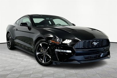 Used 2019 Ford Mustang Coupe