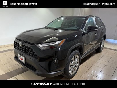 New 2025 Toyota RAV4 XLE Premium