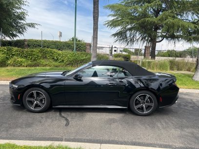Used 2024 Ford Mustang Premium