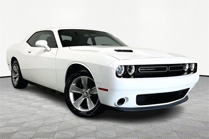 Used 2019 Dodge Challenger SXT