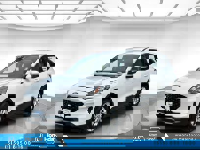 Used 2020 Ford Escape SE