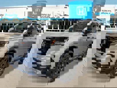 New 2025 Honda Pilot TrailSport