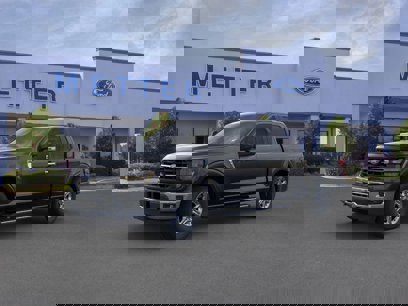 New 2024 Ford F150 XLT w/ Mobile Office Package
