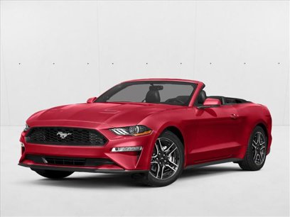 Used 2019 Ford Mustang Premium