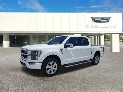 Used 2023 Ford F150 Platinum w/ Equipment Group 701A High