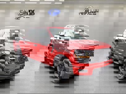 New 2024 Ford F150 STX w/ STX Black Appearance Package