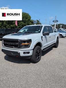 New 2024 Ford F150 XLT w/ Equipment Group 303A High