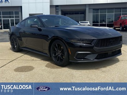 Used 2025 Ford Mustang Coupe w/ Mustang Nite Pony Package