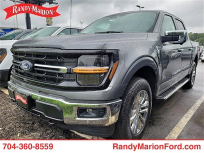 New 2024 Ford F150 XLT w/ Equipment Group 303A High