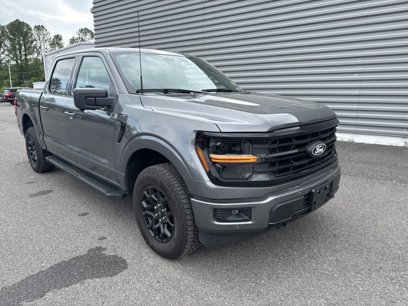 Used 2024 Ford F150 XLT w/ Equipment Group 302A MID