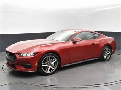 Used 2024 Ford Mustang Premium