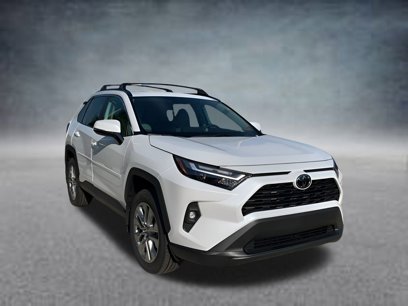 New 2025 Toyota RAV4 XLE Premium