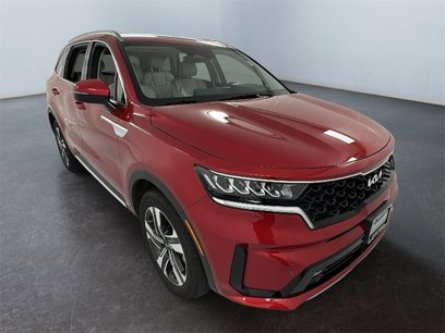 Used 2023 Kia Sorento EX