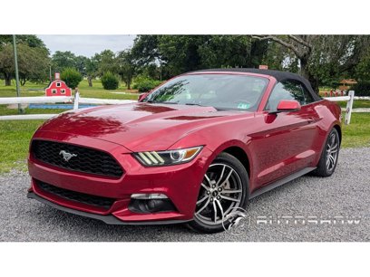 Used 2017 Ford Mustang Premium w/ Equipment Group 201A