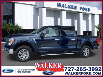 Certified 2023 Ford F150 XLT w/ Equipment Group 302A High