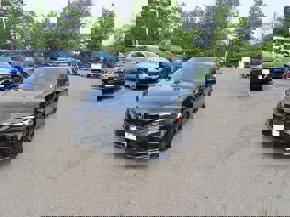 Certified 2024 Honda Civic Si