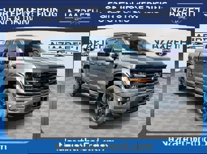 New 2024 Ford F150 XLT w/ Equipment Group 302A MID