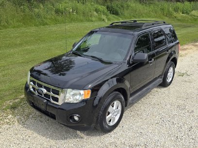 Used 2010 Ford Escape XLT