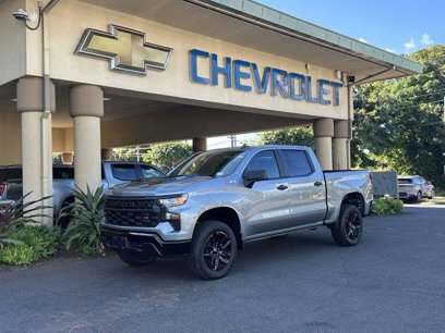 New 2025 Chevrolet Silverado 1500 Custom Trail Boss w/ Turbomax Blackout Package