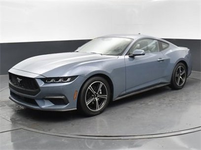 Used 2024 Ford Mustang Premium
