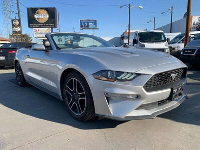 Used 2019 Ford Mustang Premium