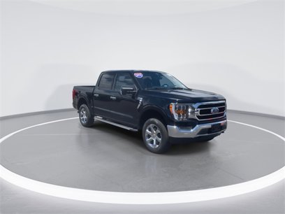 Certified 2023 Ford F150 XLT w/ Equipment Group 302A High