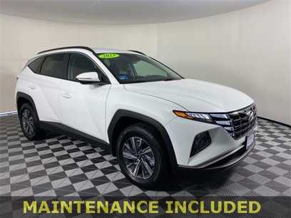 Used 2023 Hyundai Tucson Blue w/ Cargo Package