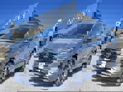 New 2024 Ford Escape ST-Line w/ Tech Pack #1