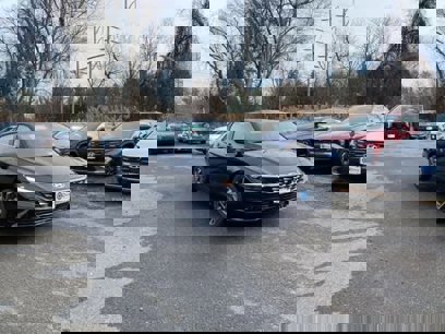 New 2025 Hyundai Elantra SEL