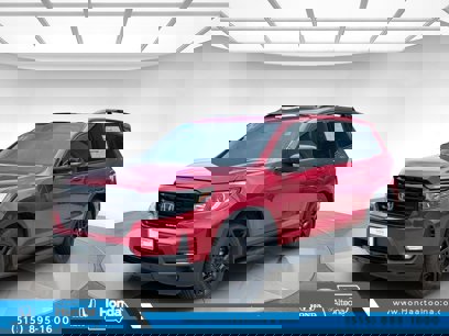 Used 2024 Honda Passport Black Edition