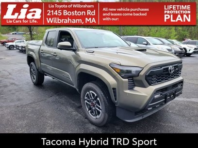 New 2025 Toyota Tacoma TRD Sport