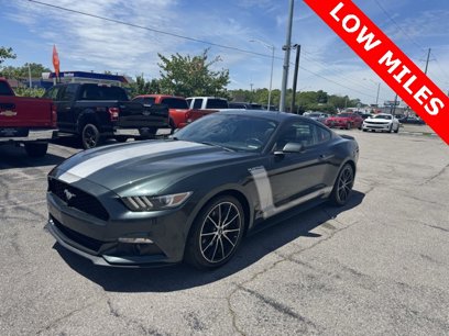 Used 2016 Ford Mustang Premium w/ Equipment Group 201A