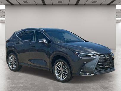 New 2025 Lexus NX 350 AWD w/ Luxury Package