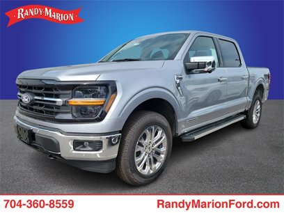 New 2024 Ford F150 XLT w/ Equipment Group 303A High
