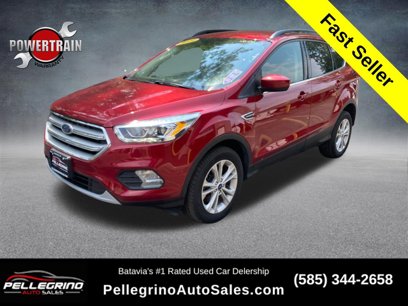 Used 2019 Ford Escape SEL