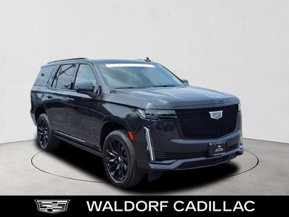 Used 2022 Cadillac Escalade Sport Platinum w/ LPO, ONYX Package